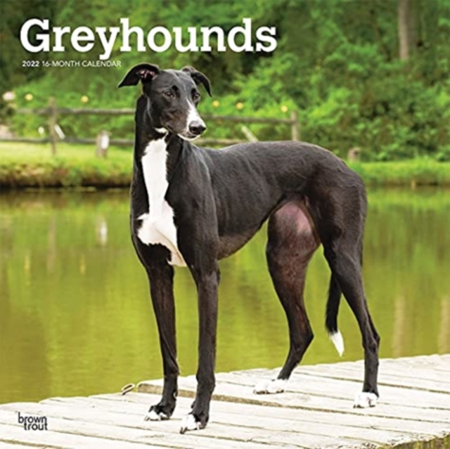 GREYHOUNDS 2022 SQUARE