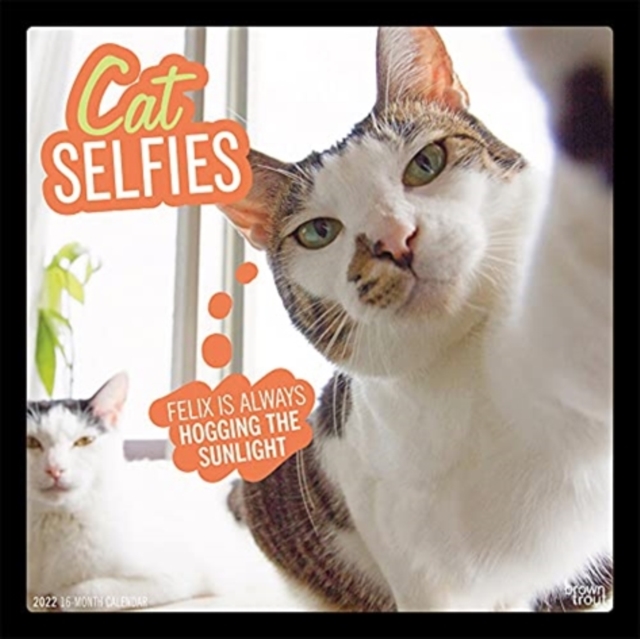 CAT SELFIES 2022 SQUARE