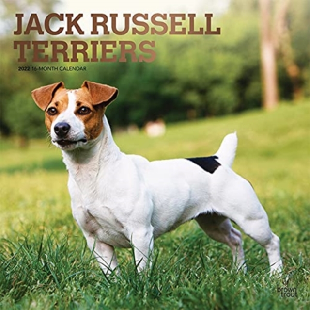 JACK RUSSELL TERRIERS 2022 SQUARE FOIL