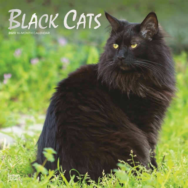 Black Cats 2023 Square Foil Calendar