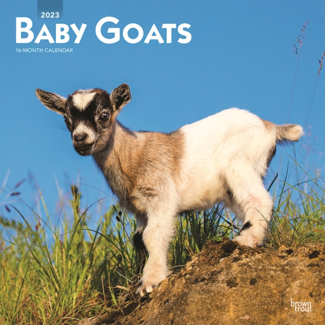 Baby Goats 2023 Square Calendar