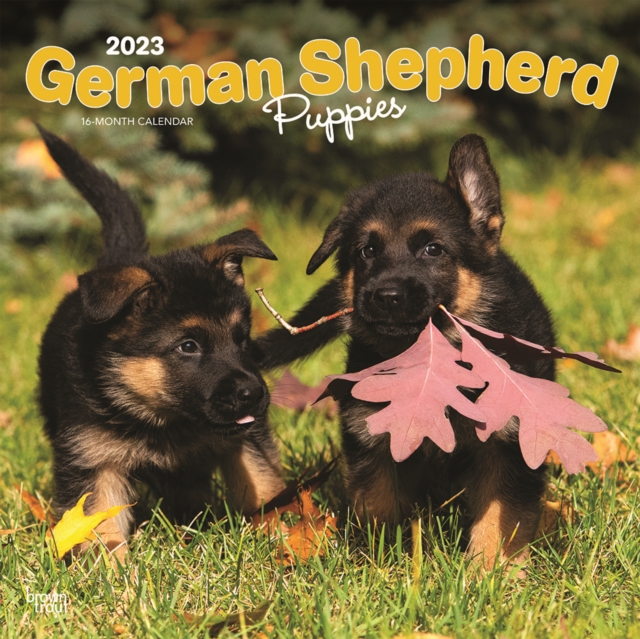 German Shepherd Puppies 2023 Square Calendar