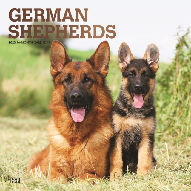 German Shepherds 2023 Square Foil Calendar