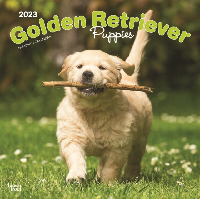 Golden Retriever Puppies 2023 Square Calendar