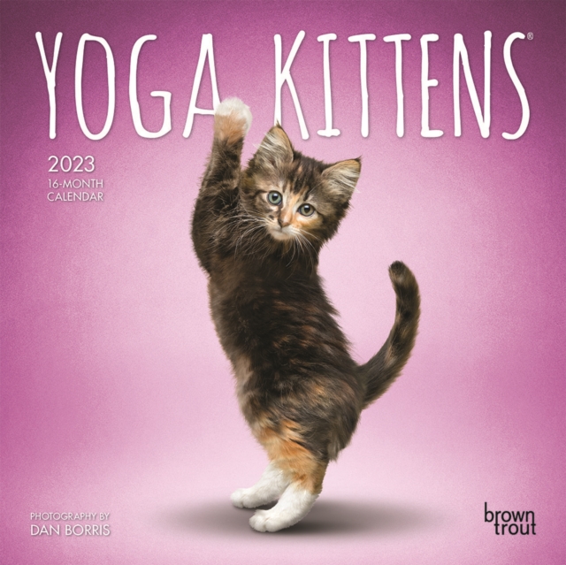 Yoga Kittens 2023 Mini 7x7 Calendar