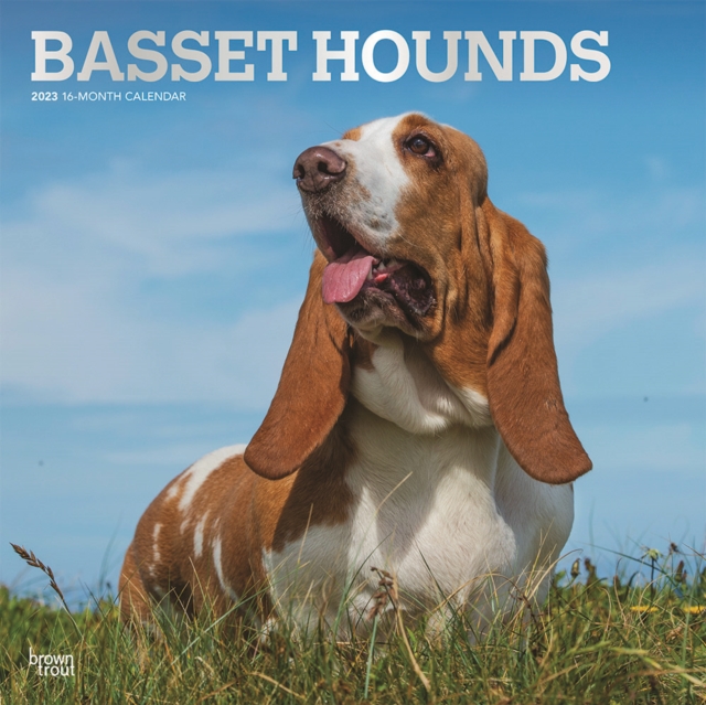 Basset Hounds 2023 Square Foil Calendar