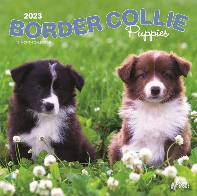 Border Collie Puppies 2023 Square Calendar