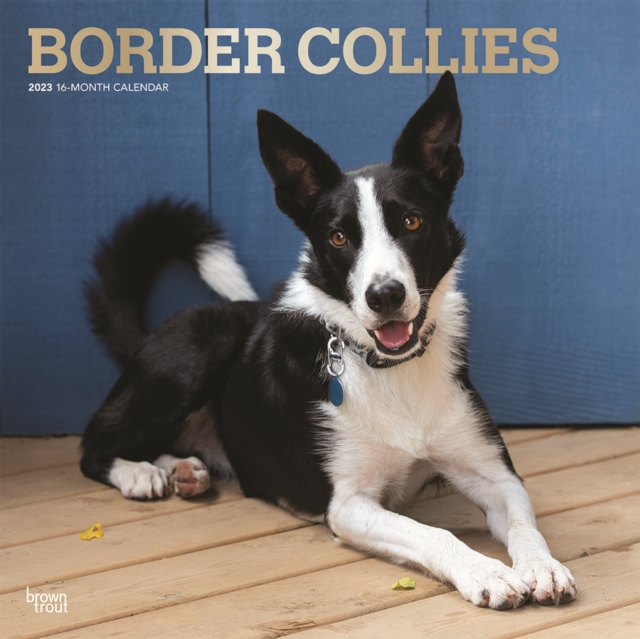 Border Collies 2023 Square Foil Calendar