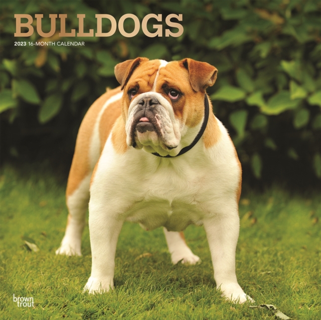 Bulldogs 2023 Square Foil Calendar