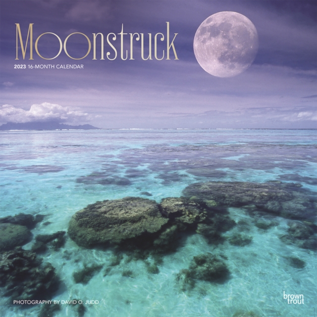 Moonstruck 2023 Square Foil Calendar