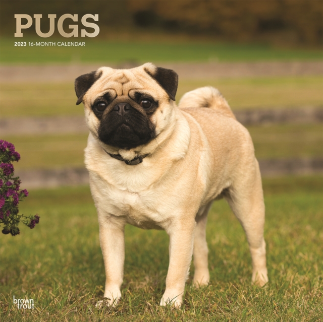 Pugs 2023 Square Foil Calendar