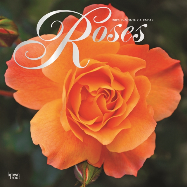 Roses 2023 Square Foil Calendar