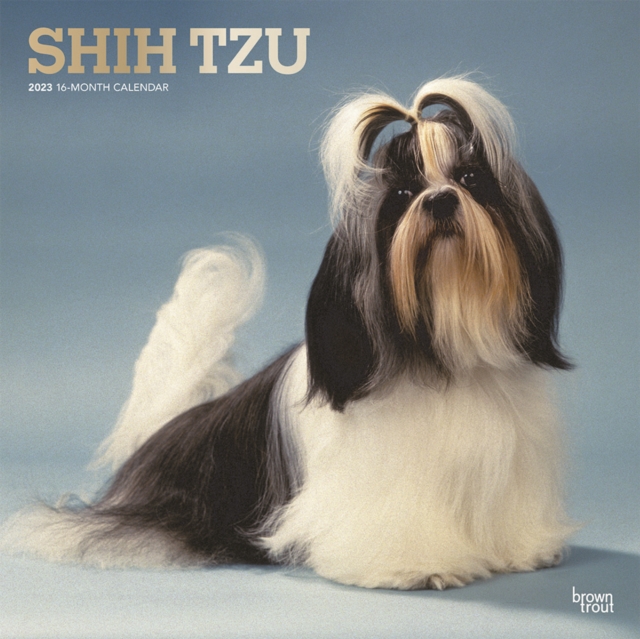 Shih Tzu 2023 Square Foil Calendar