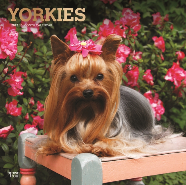 Yorkshire Terriers 2023 Square Foil Calendar