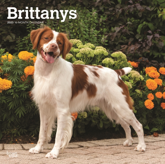 Brittanys 2023 Square Calendar