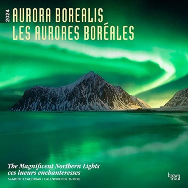AURORA BOREALIS LES AURORES BORALES 2024
