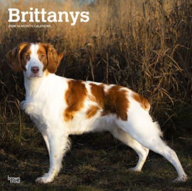 BRITTANYS 2024 SQUARE