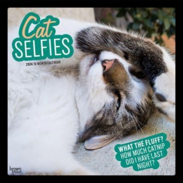 CAT SELFIES 2024 SQUARE