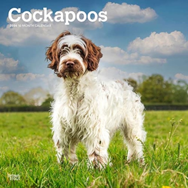 COCKAPOOS 2024 SQUARE