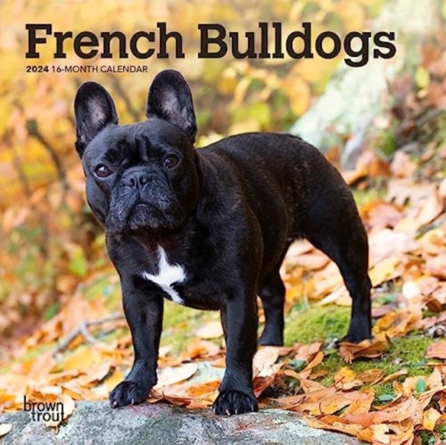 FRENCH BULLDOGS 2024 MINI 7X7