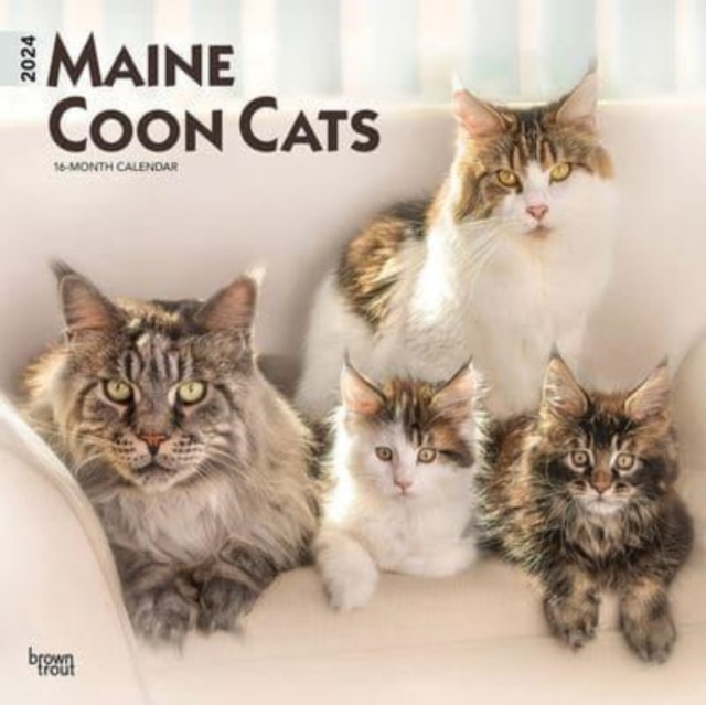MAINE COON CATS 2024 SQUARE