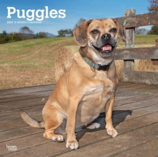 PUGGLES 2024 SQUARE