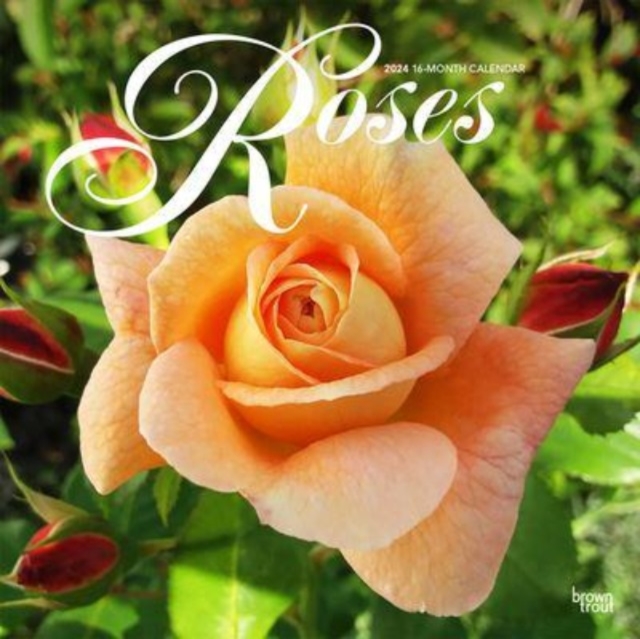 ROSES 2024 SQUARE