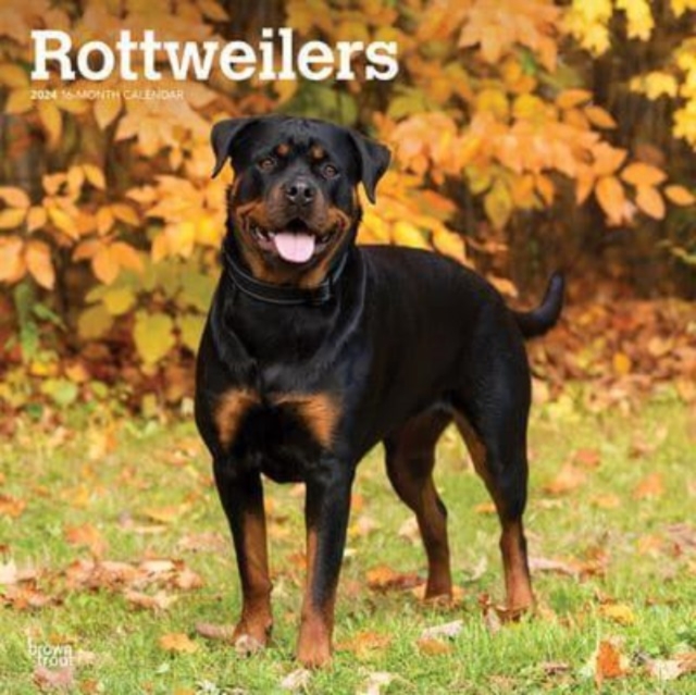 ROTTWEILERS 2024 SQUARE