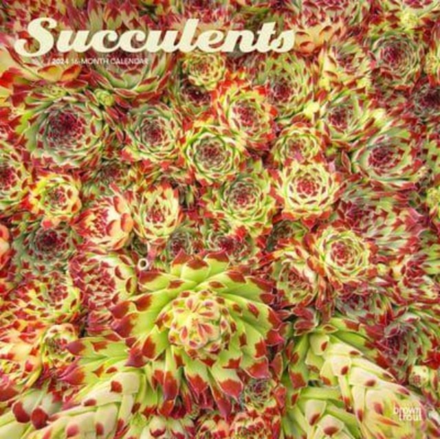 SUCCULENTS 2024 SQUARE