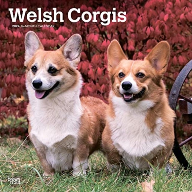 WELSH CORGIS 2024 SQUARE