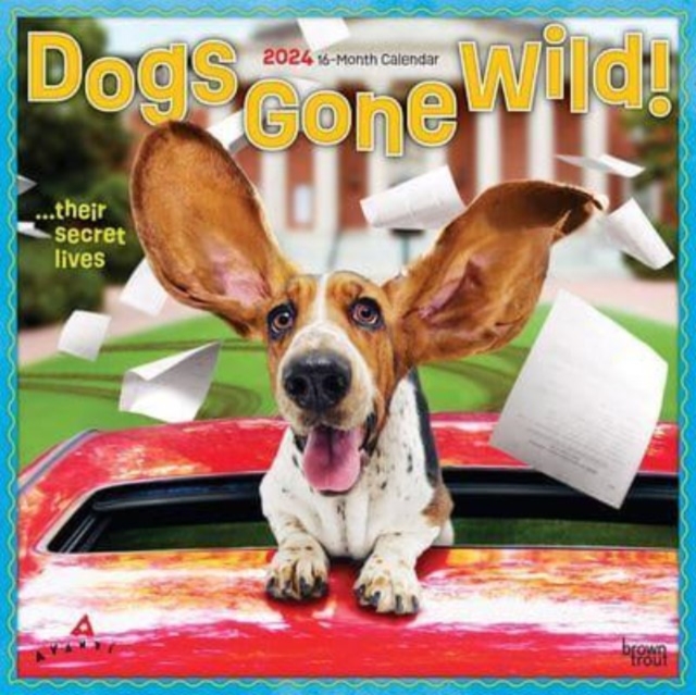 AVANTI DOGS GONE WILD 2024 SQUARE