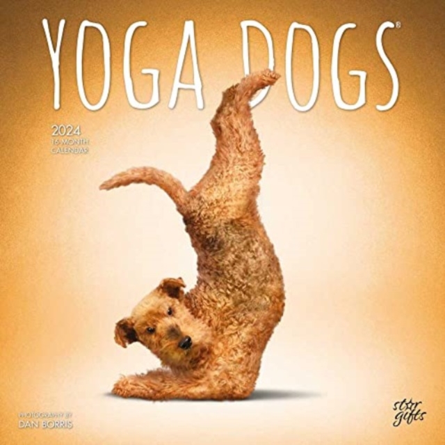 YOGA DOGS 2024 SQUARE STKR STARGIFTS