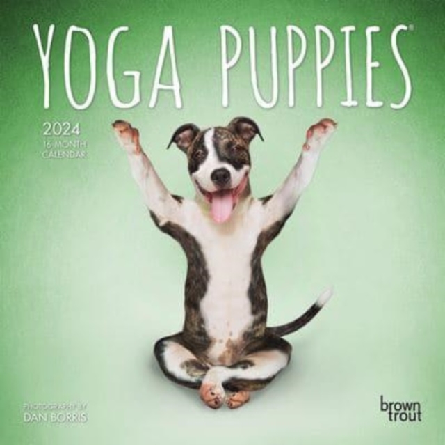 YOGA PUPPIES 2024 MINI 7X7