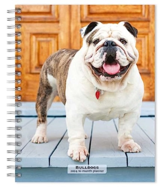 BULLDOGS 2024 ENGAGEMENT