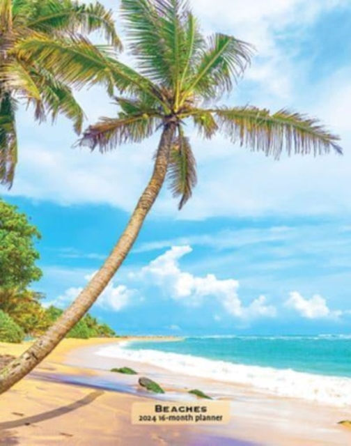 BEACHES 2024 ENGAGEMENT