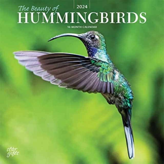 HUMMINGBIRDS THE BEAUTY OF 2024 SQUARE S
