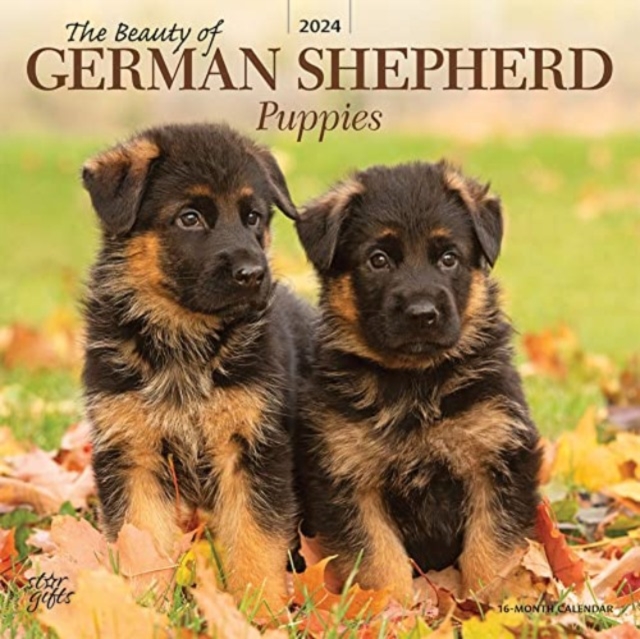 GERMAN SHEPHERD PUPPIES THE BEAUTY OF 20