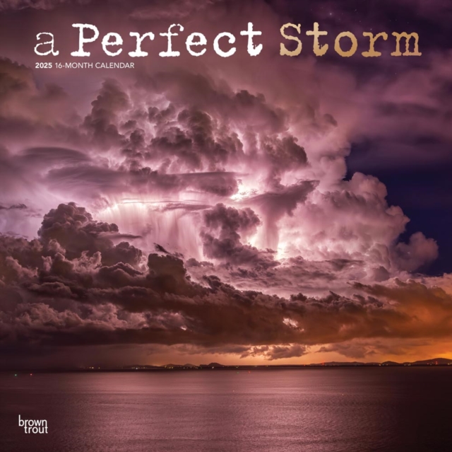 Perfect Storm 2025 Square Wrap Foil