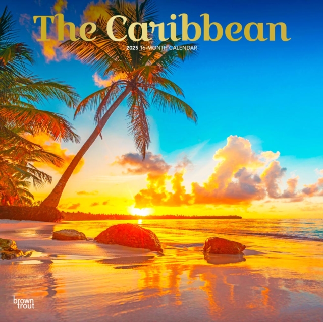 Caribbean The 2025 Square Wrap Foil