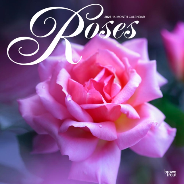Roses 2025 Square Wrap