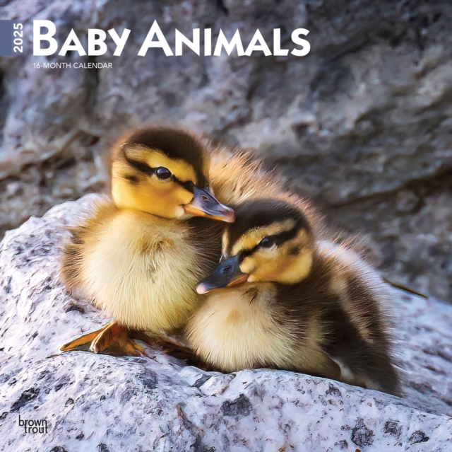 Baby Animals 2025 Square Wrap