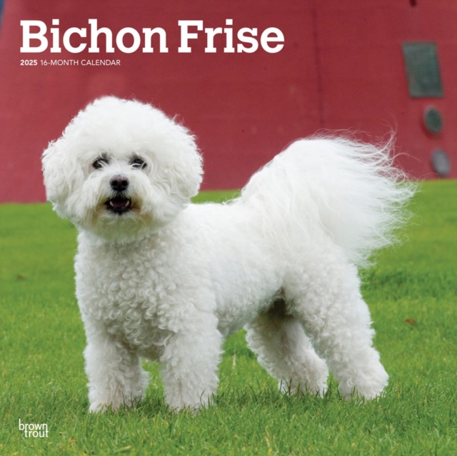 Bichon Frise 2025 Square Wrap