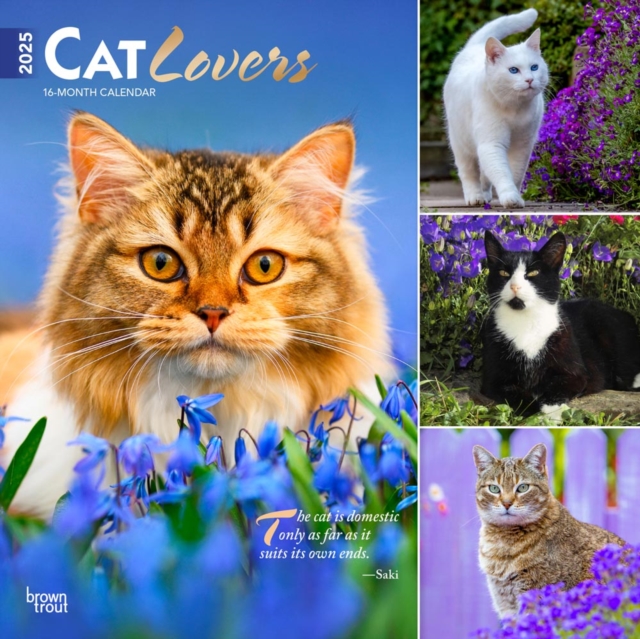 Cat Lovers 2025 Square Wrap Foil