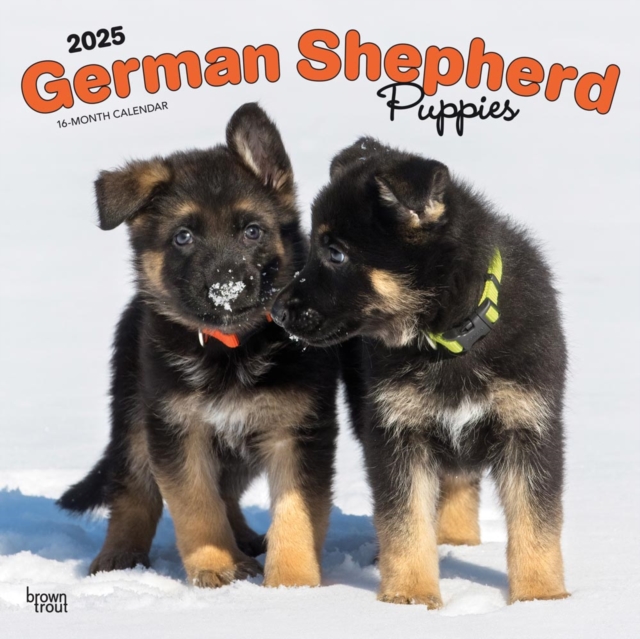 German Shepherd Puppies 2025 Square Wrap