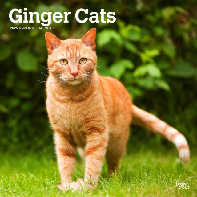 Ginger Cats 2025 Square Wrap