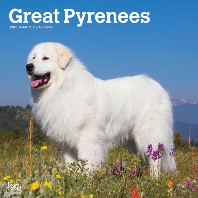 Great Pyrenees 2025 Square Wrap