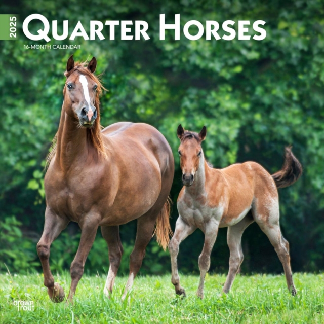 Quarter Horses 2025 Square Wrap