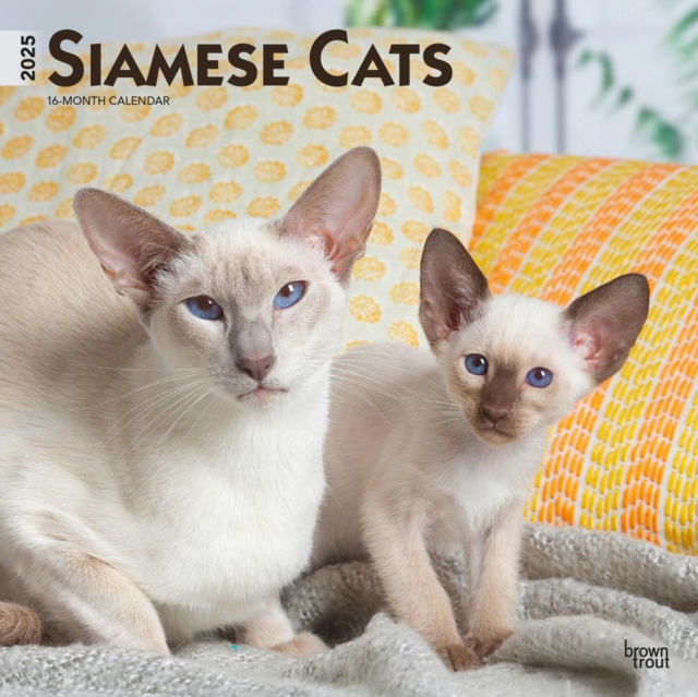 Siamese Cats 2025 Square Wrap