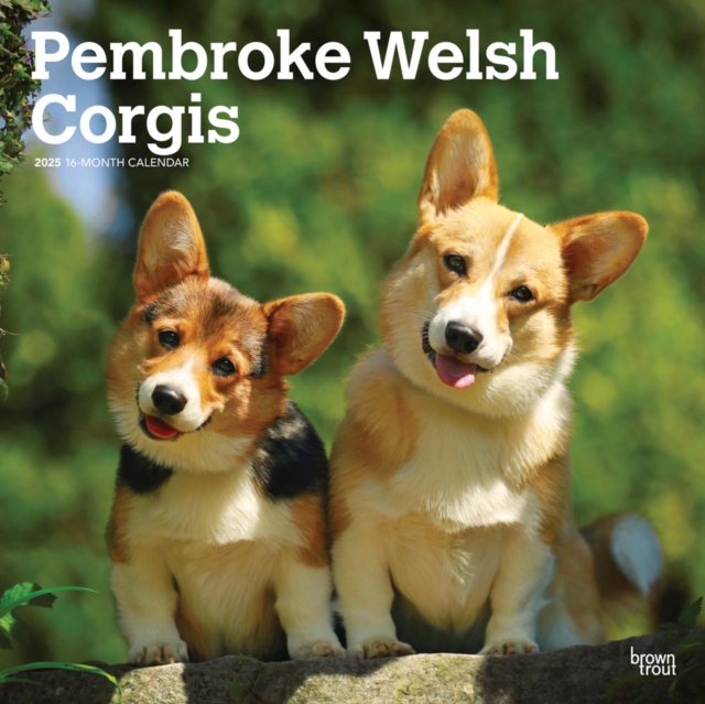 Welsh Corgis Pembroke 2025 Square Wrap