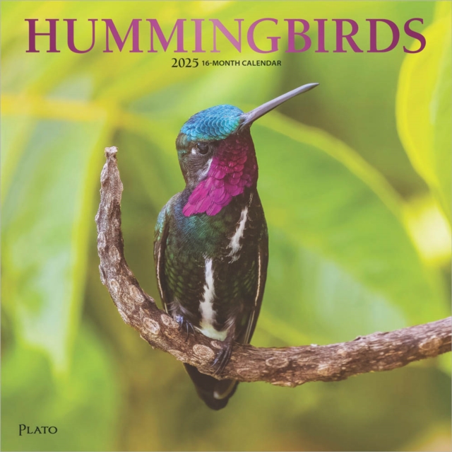 Hummingbirds 2025 Square Plato Foil